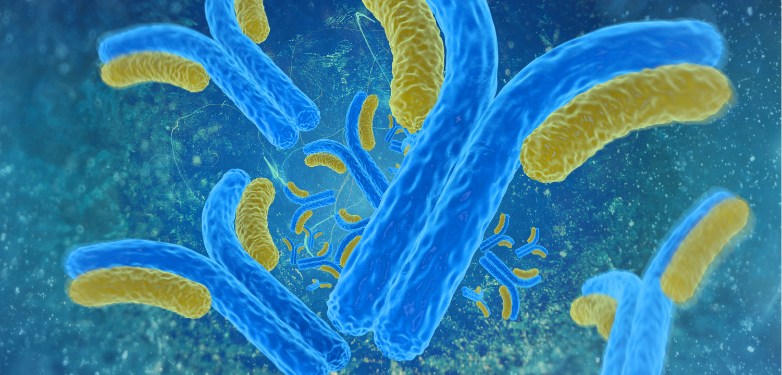 Improving the understanding of biosimilar formulation science through Real-World Training
